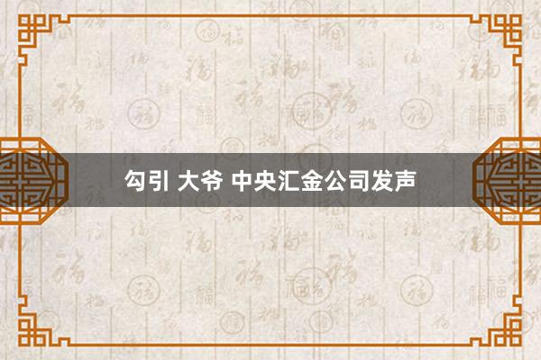 勾引 大爷 中央汇金公司发声