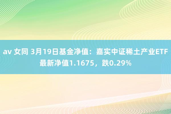 av 女同 3月19日基金净值：嘉实中证稀土产业ETF最新净值1.1675，跌0.29%