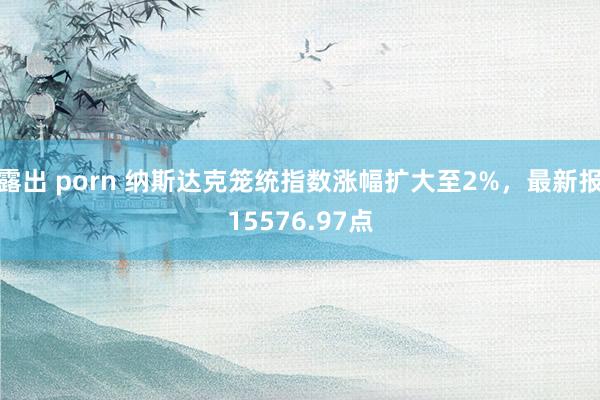 露出 porn 纳斯达克笼统指数涨幅扩大至2%，最新报15576.97点