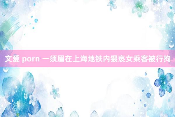 文爱 porn 一须眉在上海地铁内猥亵女乘客被行拘