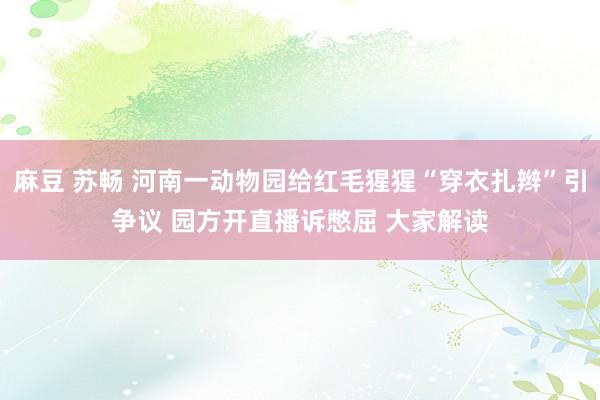 麻豆 苏畅 河南一动物园给红毛猩猩“穿衣扎辫”引争议 园方开直播诉憋屈 大家解读