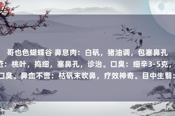 哥也色蝴蝶谷 鼻息肉：白矾，猪油调，包塞鼻孔，可除息肉。鼻腔脓疮：桃叶，捣细，塞鼻孔，诊治。口臭：细辛3-5克，口含少量，可除口臭。鼻血不啻：枯矾末吹鼻，疗效神奇。目中生翳：鹅不食草，吹鼻，塞耳，贴目，神效也。