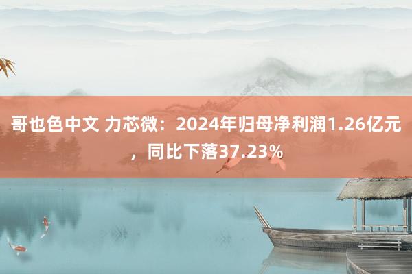 哥也色中文 力芯微：2024年归母净利润1.26亿元，同比下落37.23%