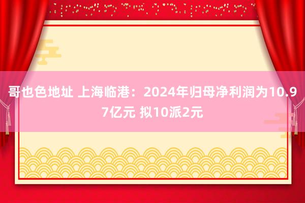 哥也色地址 上海临港：2024年归母净利润为10.97亿元 拟10派2元