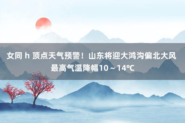 女同 h 顶点天气预警！山东将迎大鸿沟偏北大风 最高气温降幅10～14℃