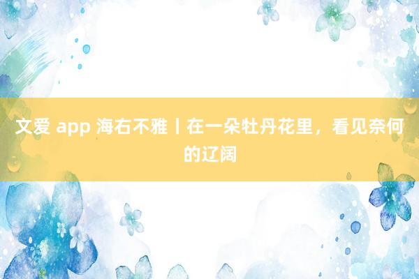 文爱 app 海右不雅丨在一朵牡丹花里，看见奈何的辽阔