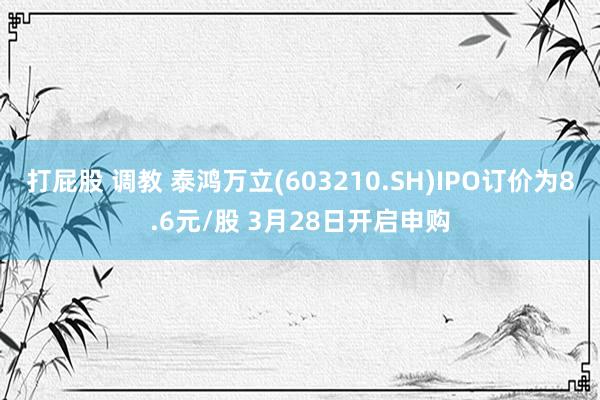 打屁股 调教 泰鸿万立(603210.SH)IPO订价为8.6元/股 3月28日开启申购