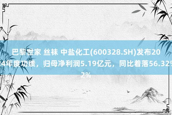 巴黎世家 丝袜 中盐化工(600328.SH)发布2024年度功绩，归母净利润5.19亿元，同比着落56.32%