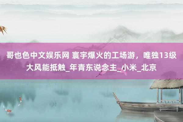 哥也色中文娱乐网 寰宇爆火的工场游，唯独13级大风能抵触_年青东说念主_小米_北京