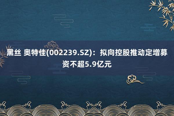 黑丝 奥特佳(002239.SZ)：拟向控股推动定增募资不超5.9亿元