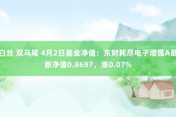 白丝 双马尾 4月2日基金净值：东财耗尽电子增强A最新净值0.8697，涨0.07%