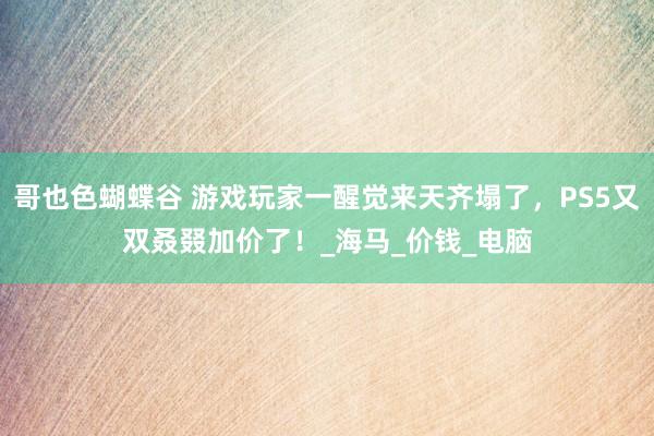 哥也色蝴蝶谷 游戏玩家一醒觉来天齐塌了，PS5又双叒叕加价了！_海马_价钱_电脑