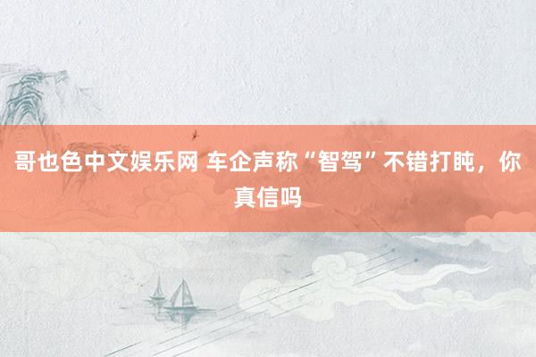 哥也色中文娱乐网 车企声称“智驾”不错打盹，你真信吗