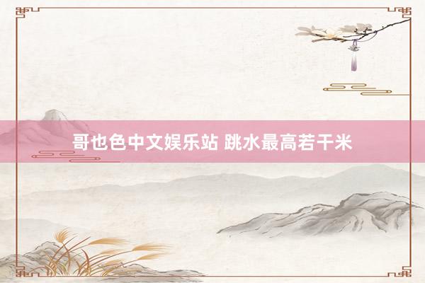哥也色中文娱乐站 跳水最高若干米