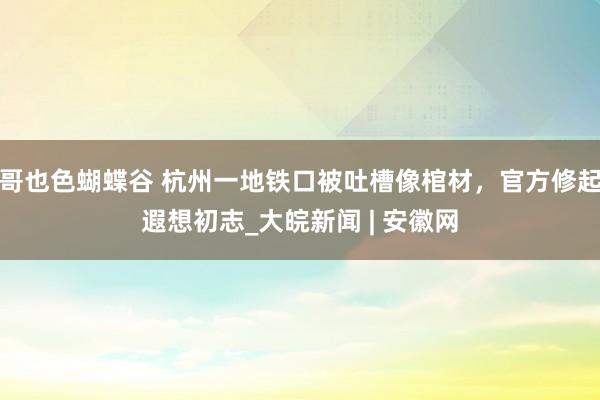 哥也色蝴蝶谷 杭州一地铁口被吐槽像棺材，官方修起遐想初志_大皖新闻 | 安徽网