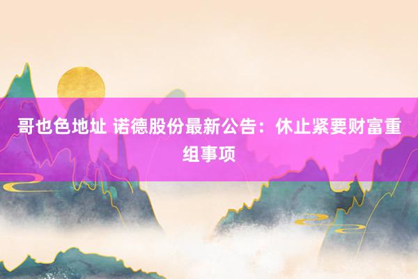 哥也色地址 诺德股份最新公告：休止紧要财富重组事项