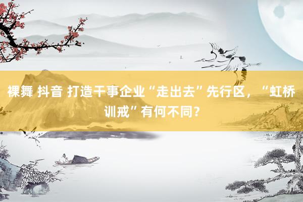 裸舞 抖音 打造干事企业“走出去”先行区，“虹桥训戒”有何不同？