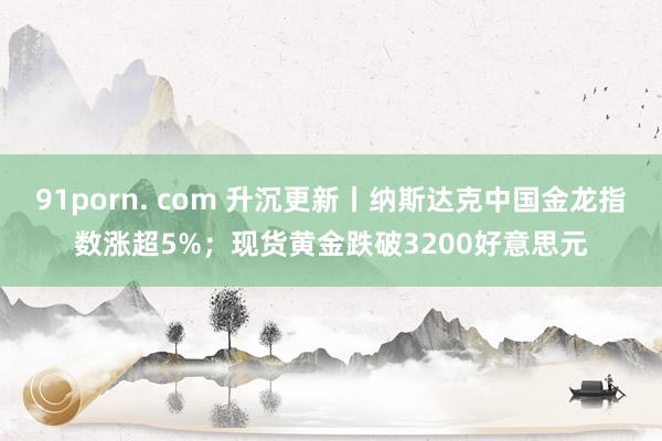 91porn. com 升沉更新丨纳斯达克中国金龙指数涨超5%；现货黄金跌破3200好意思元