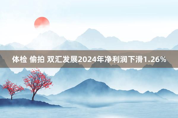 体检 偷拍 双汇发展2024年净利润下滑1.26%