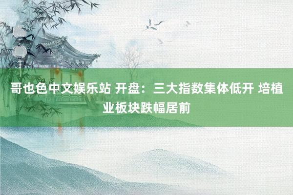 哥也色中文娱乐站 开盘：三大指数集体低开 培植业板块跌幅居前