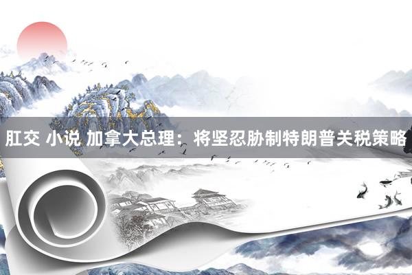 肛交 小说 加拿大总理：将坚忍胁制特朗普关税策略
