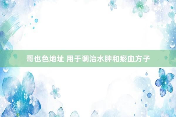 哥也色地址 用于调治水肿和瘀血方子
