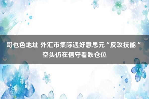 哥也色地址 外汇市集际遇好意思元“反攻技能“ 空头仍在信守看跌仓位