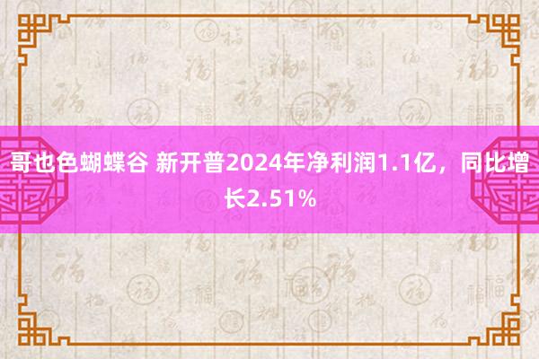 哥也色蝴蝶谷 新开普2024年净利润1.1亿，同比增长2.51%