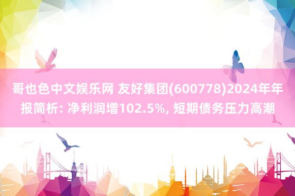 哥也色中文娱乐网 友好集团(600778)2024年年报简析: 净利润增102.5%， 短期债务压力高潮